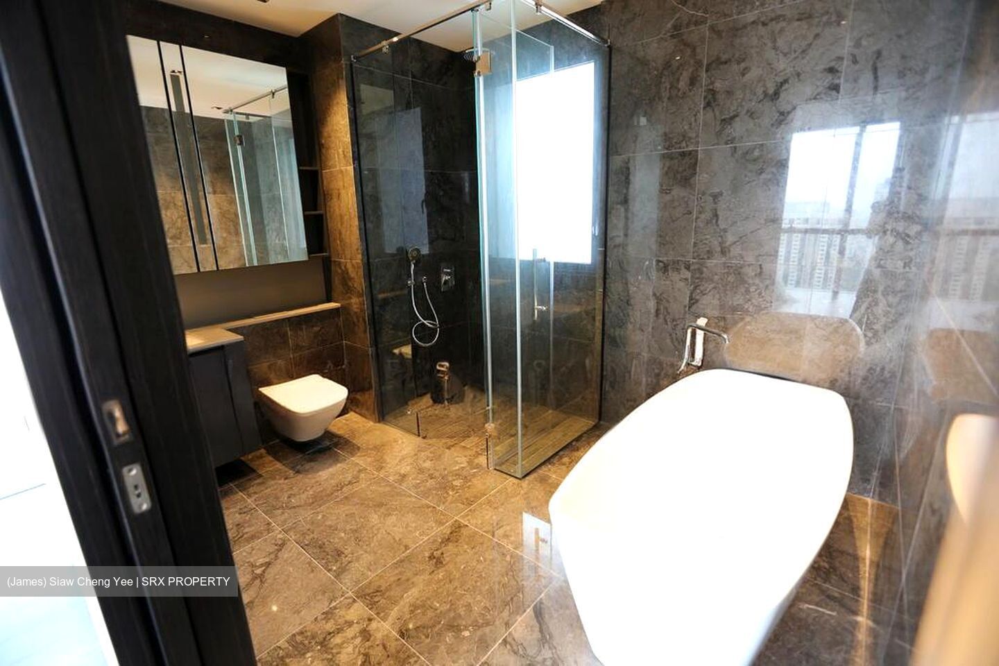 3 Cuscaden (D10), Apartment #519808111